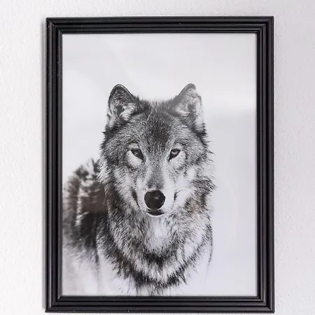 Hotel Wolf Kitchen & Bar Alkmaar
