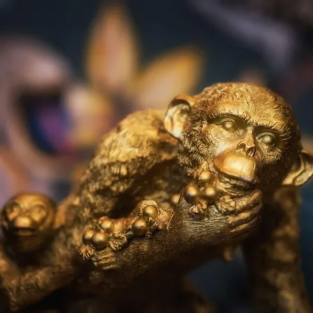 Wolf Kitchen & Bar 4* Alkmaar