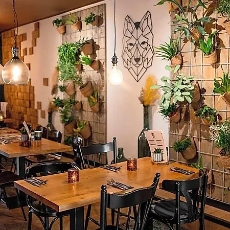 Wolf Kitchen & Bar Alkmaar