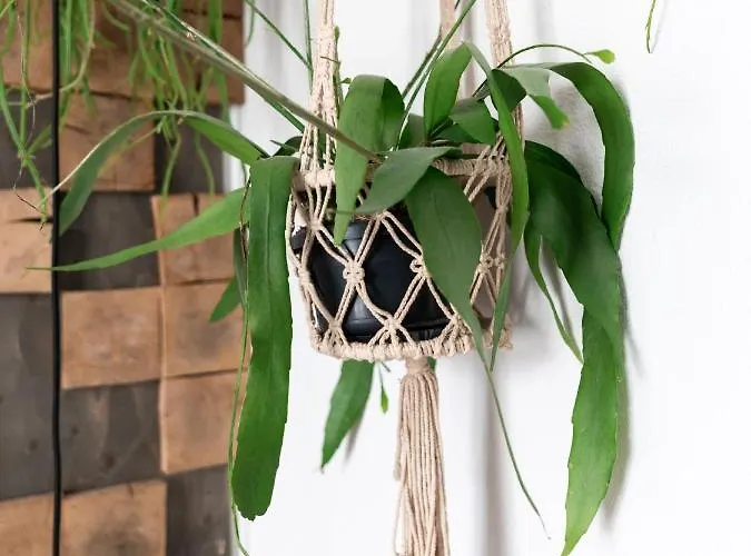 Hotel Wolf Kitchen & Bar 4*