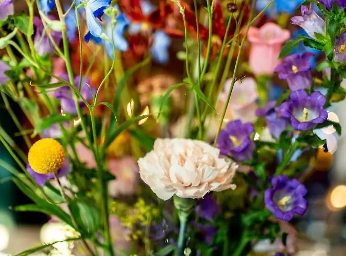 Wolf Kitchen & Bar Hotel