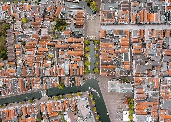 Hotel Wolf Kitchen & Bar