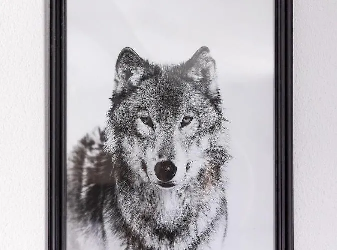 Отель Wolf Kitchen & Bar Алкмар