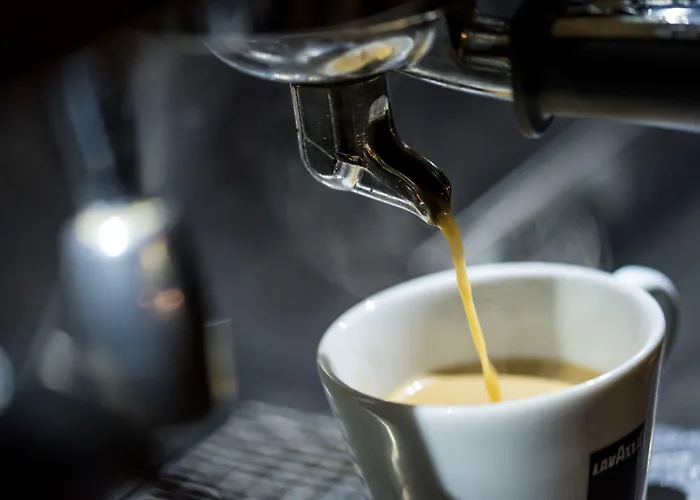 Hotel Wolf Kitchen & Bar