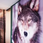 호텔 Wolf Kitchen & Bar 알크마르