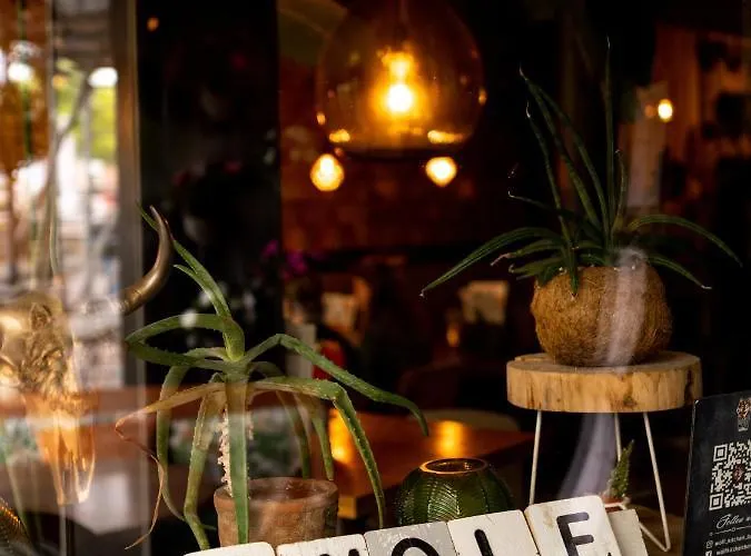 Wolf Kitchen & Bar Hotel Alkmaar