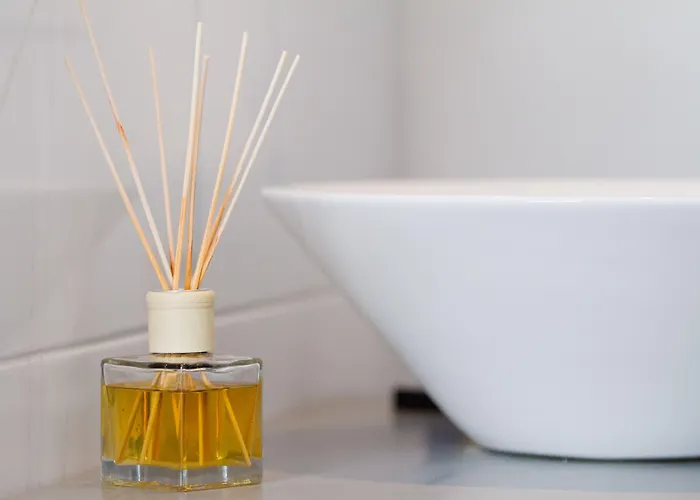 Wolf Kitchen & Bar Hotel Alkmaar