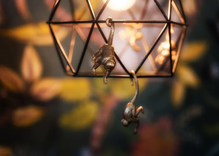 Hotel Wolf Kitchen & Bar Alkmaar